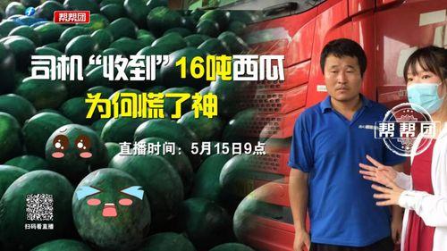 今日吃瓜完整版免费